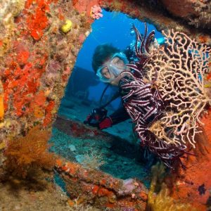 Port Vila Wreck Diver